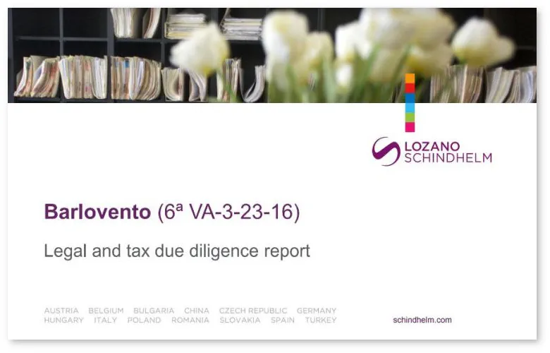 Due diligence report alter-text